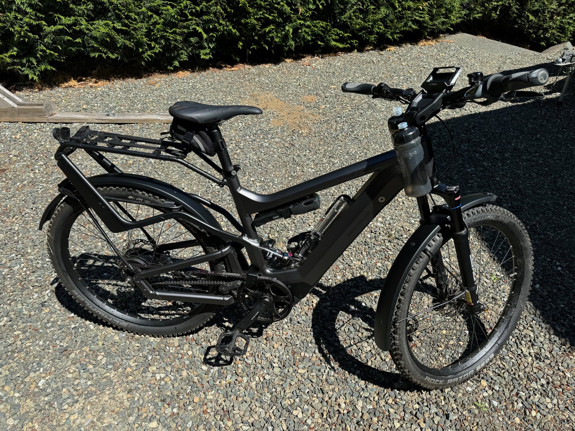 IMG_5524.jpg IMG_5524.jpg