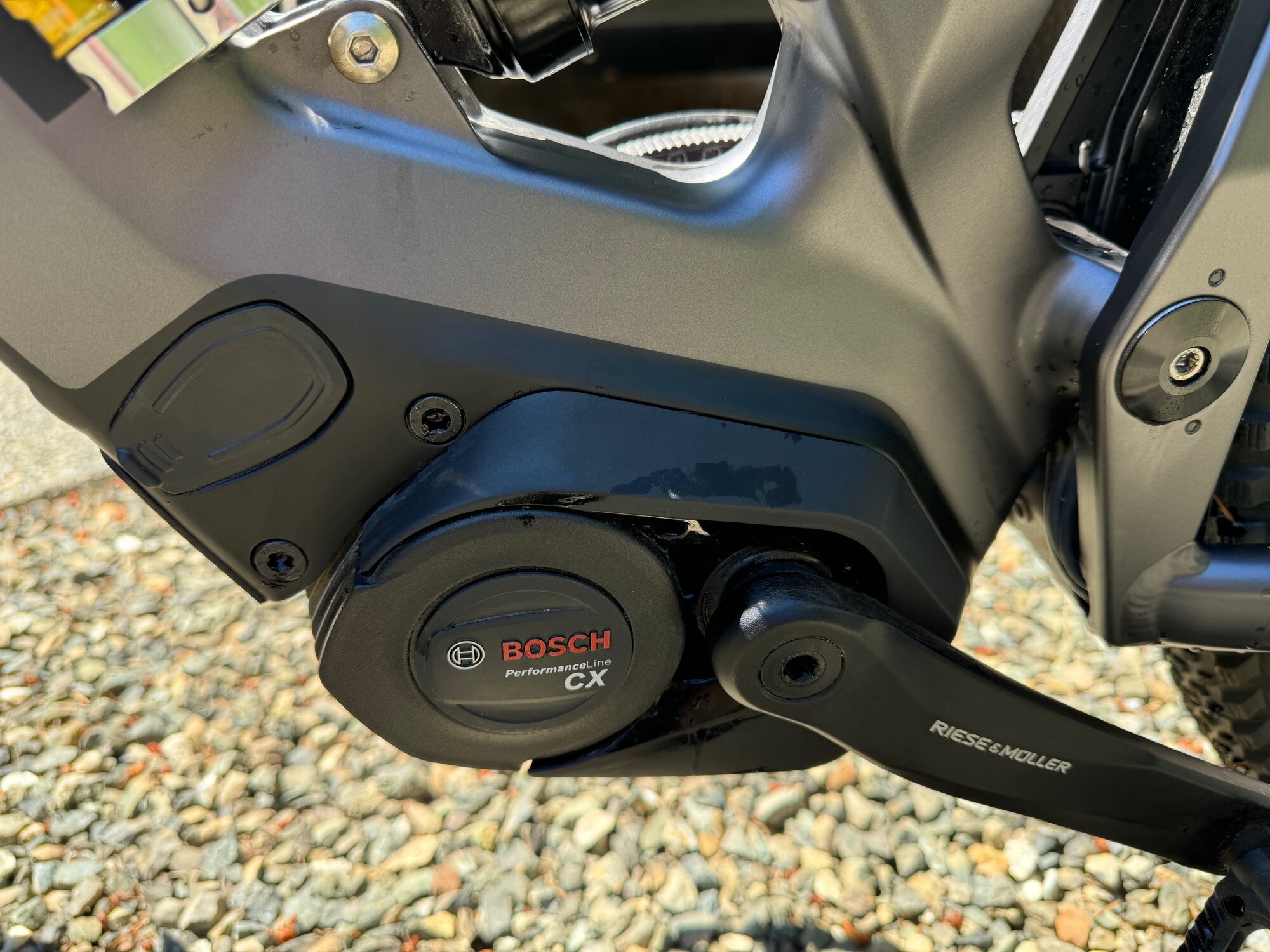 IMG_5529.jpg IMG_5529.jpg