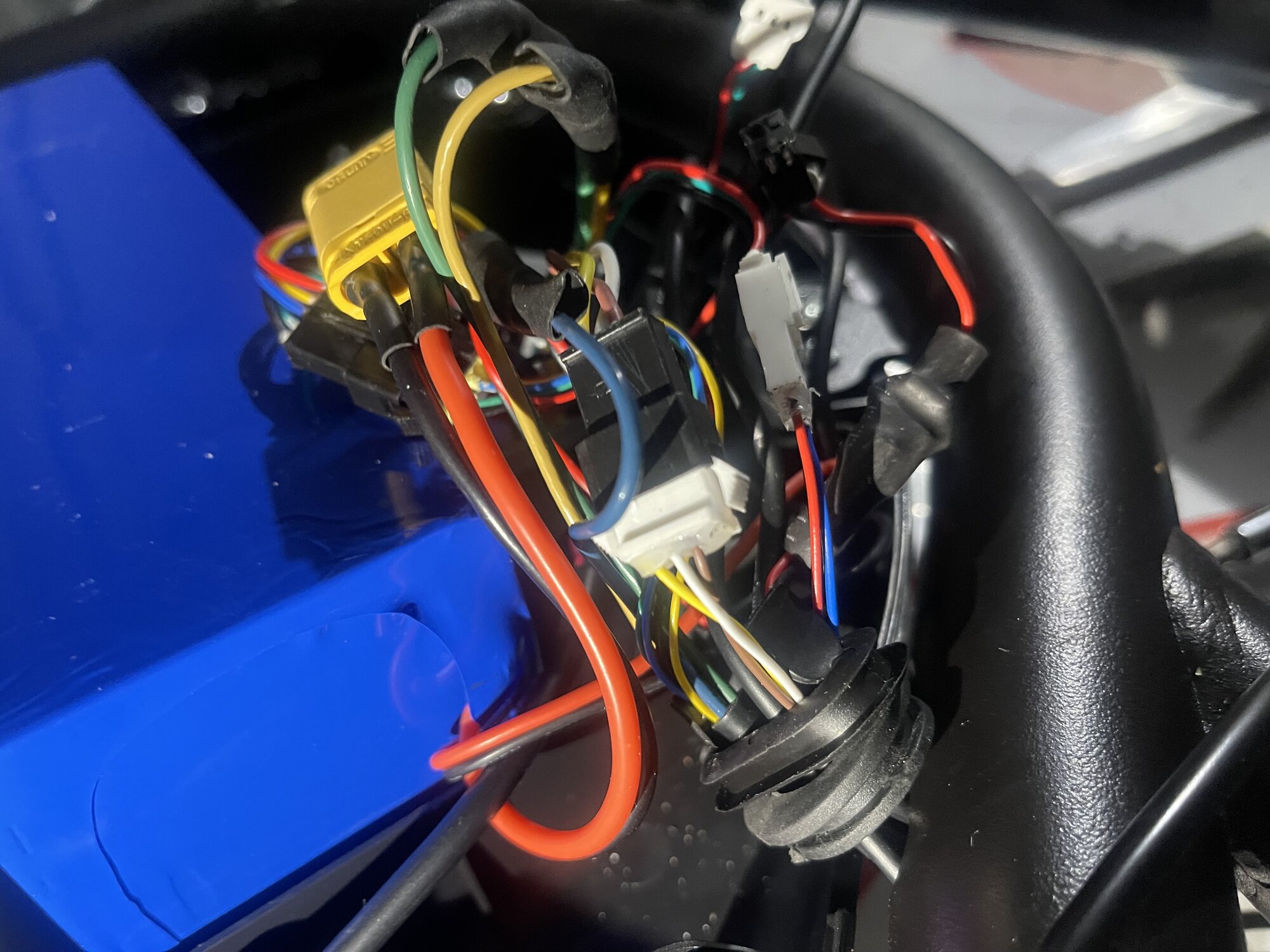 IMG_5983.jpeg IMG_5983.jpeg