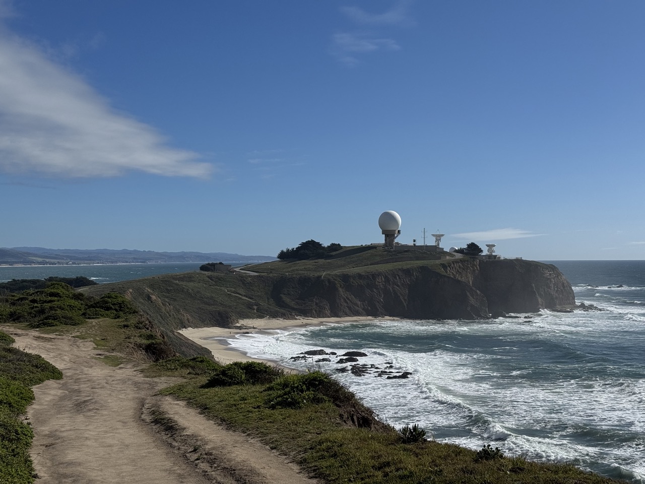 IMG_7253 copy Large.jpeg