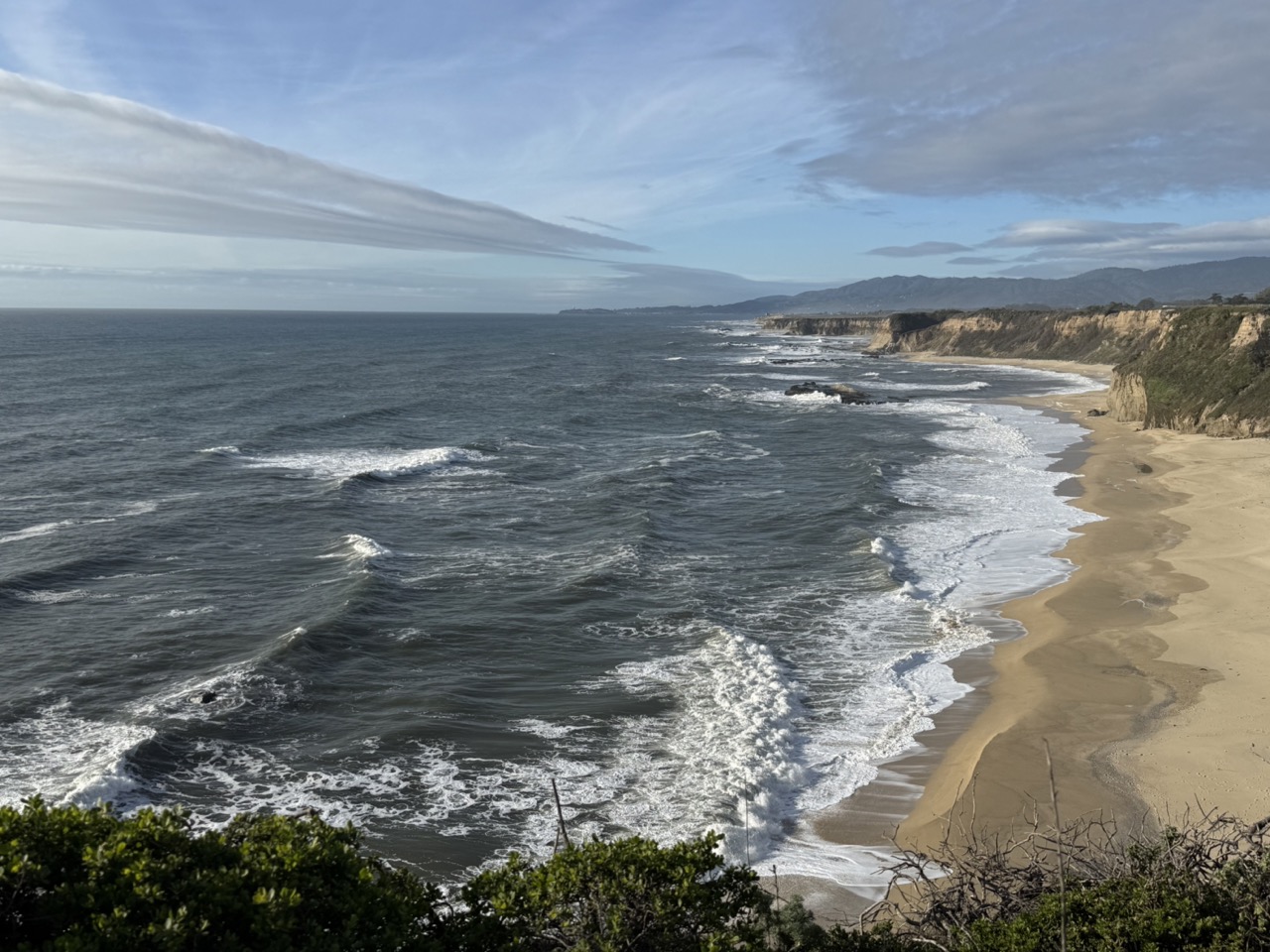 IMG_7313 copy Large.jpeg