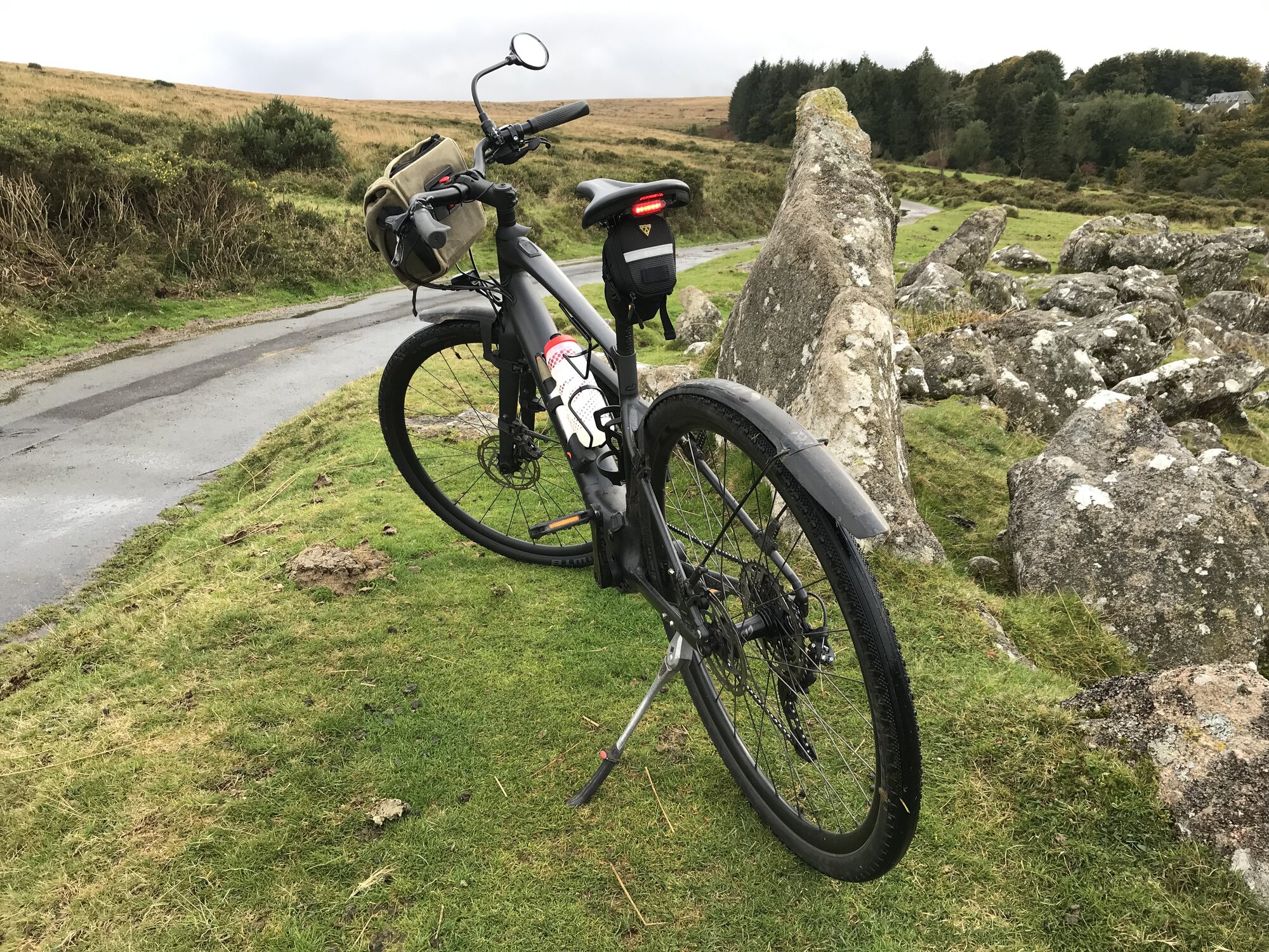 IMG_7542.jpeg IMG_7542.jpeg