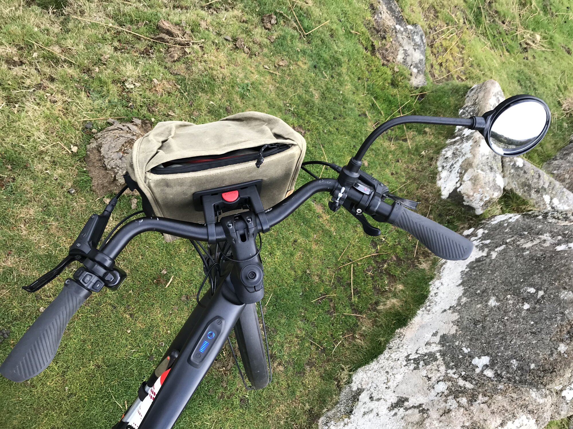 IMG_7543.jpeg IMG_7543.jpeg