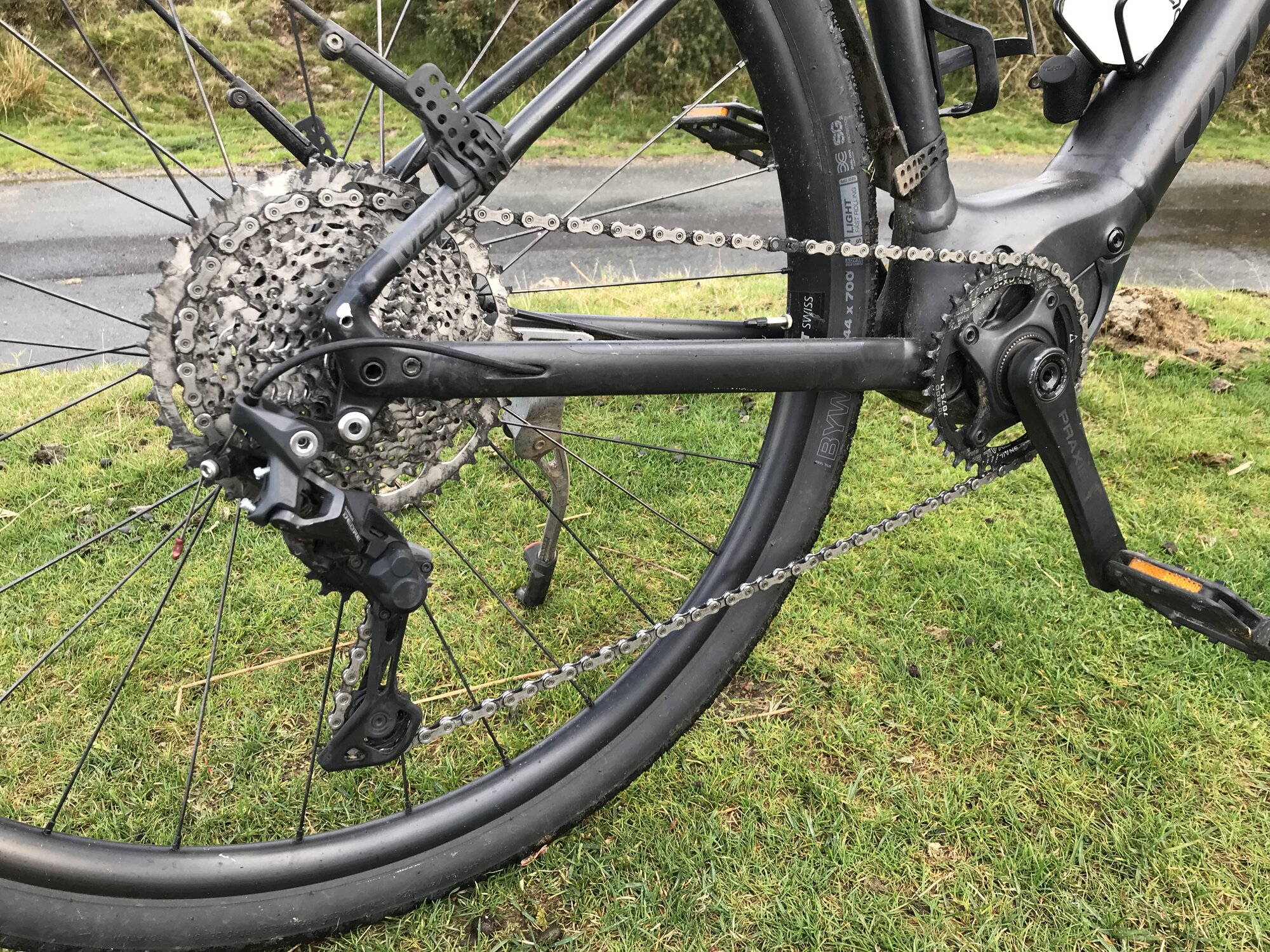 IMG_7546.jpeg IMG_7546.jpeg