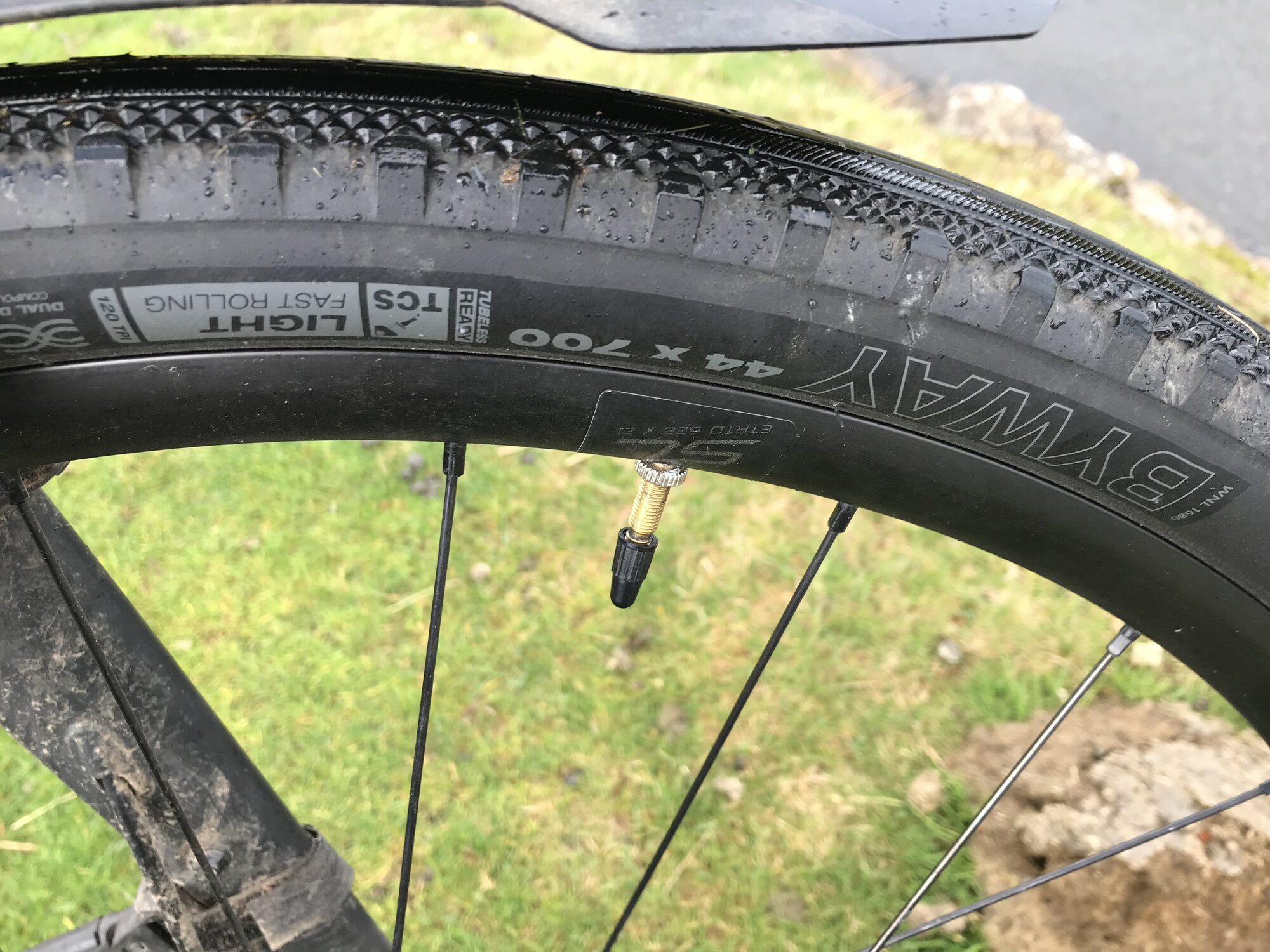 IMG_7547.jpeg IMG_7547.jpeg