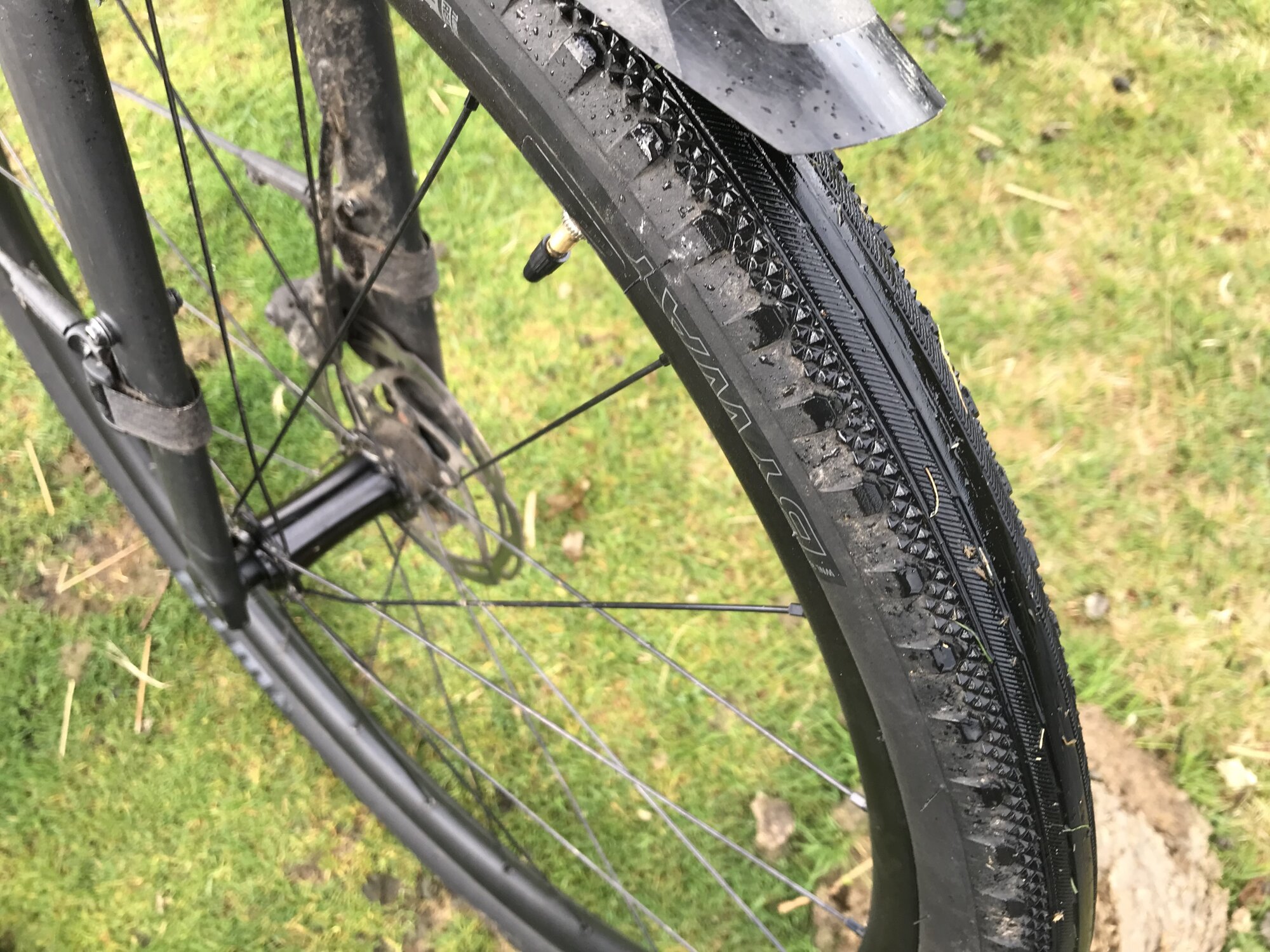 IMG_7548.jpeg IMG_7548.jpeg