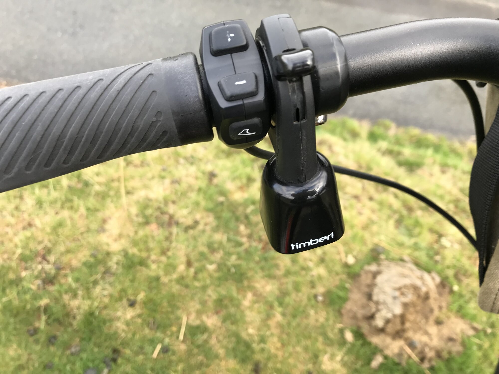 IMG_7549.jpeg IMG_7549.jpeg