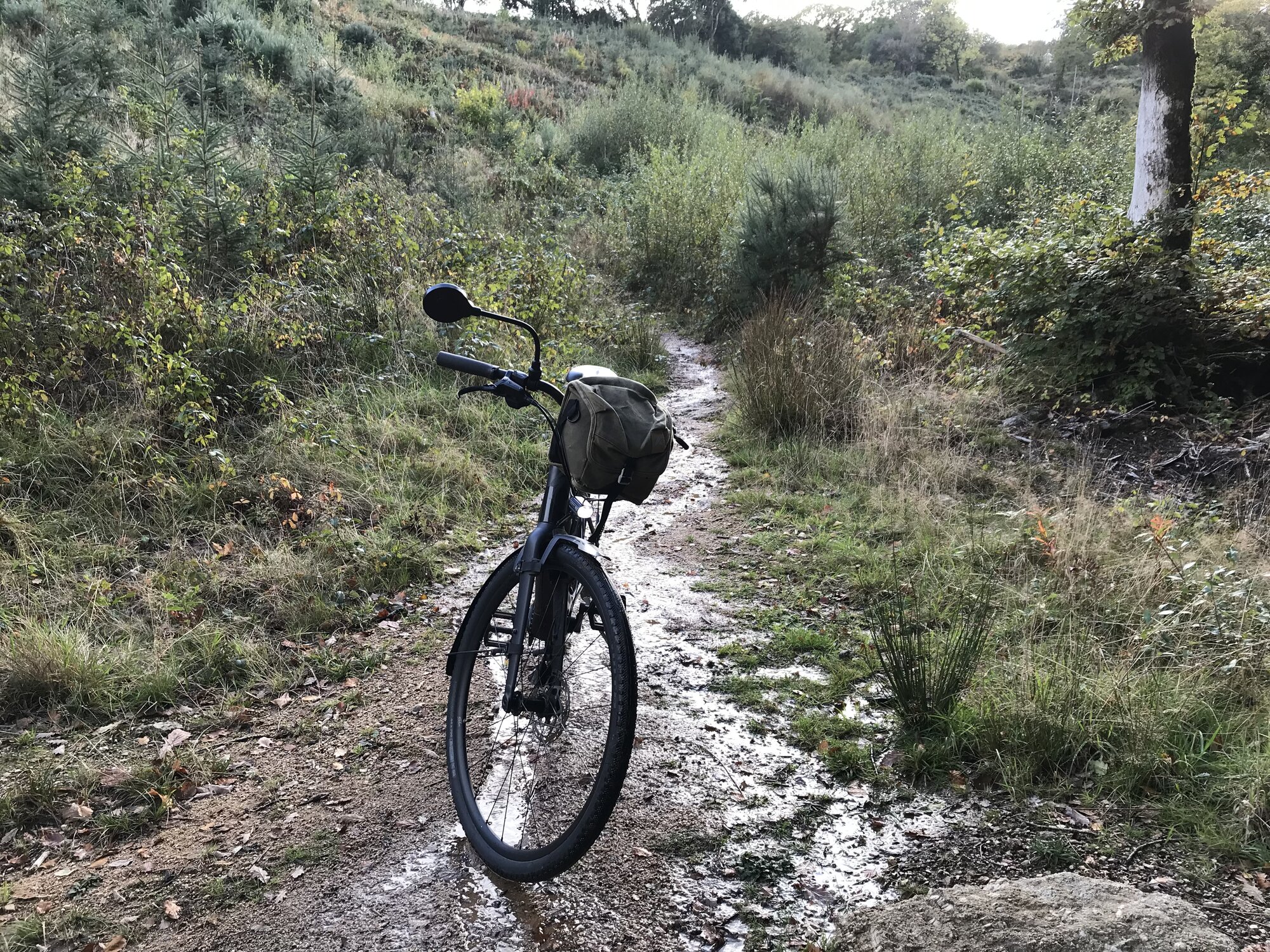 IMG_7551.jpeg IMG_7551.jpeg