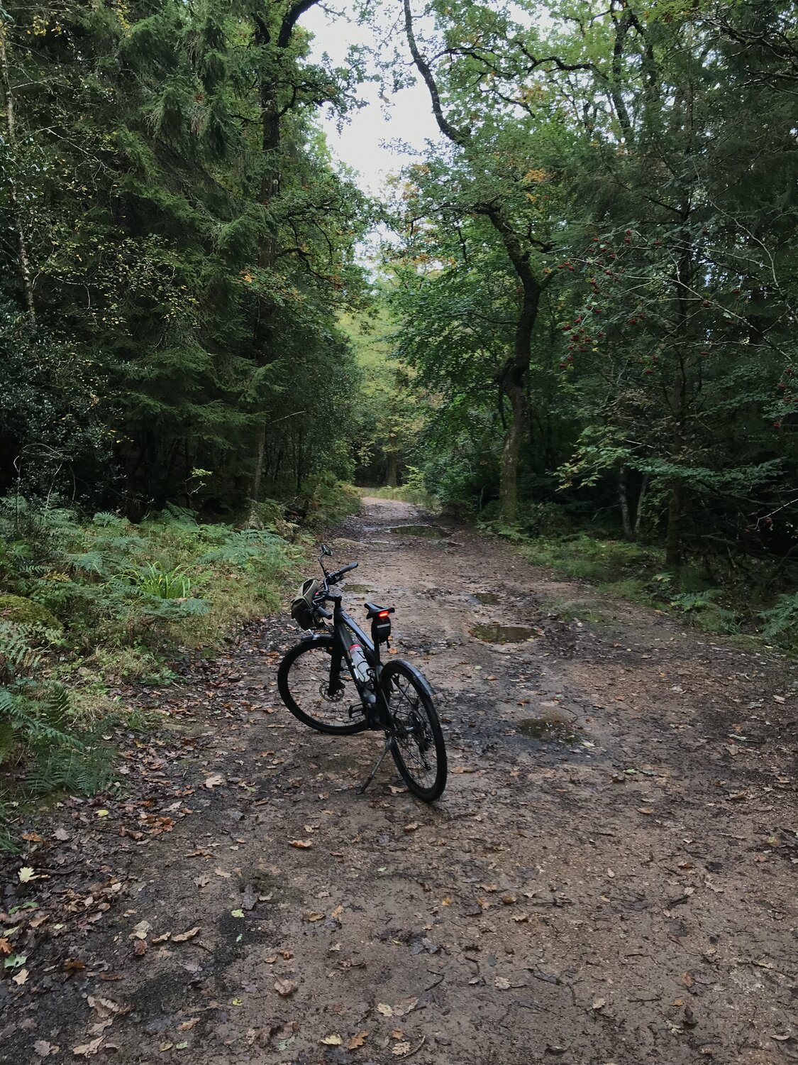 IMG_7564.jpeg IMG_7564.jpeg