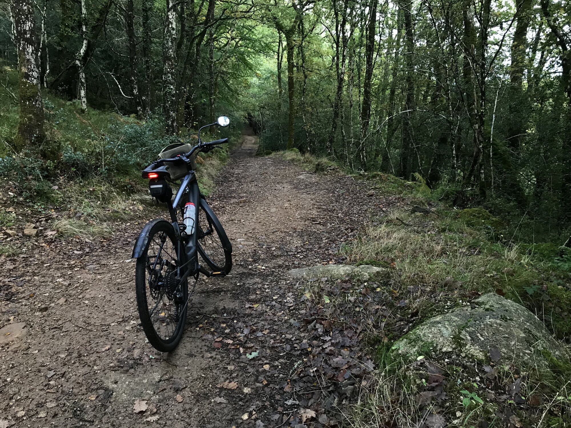 IMG_7572.jpeg IMG_7572.jpeg