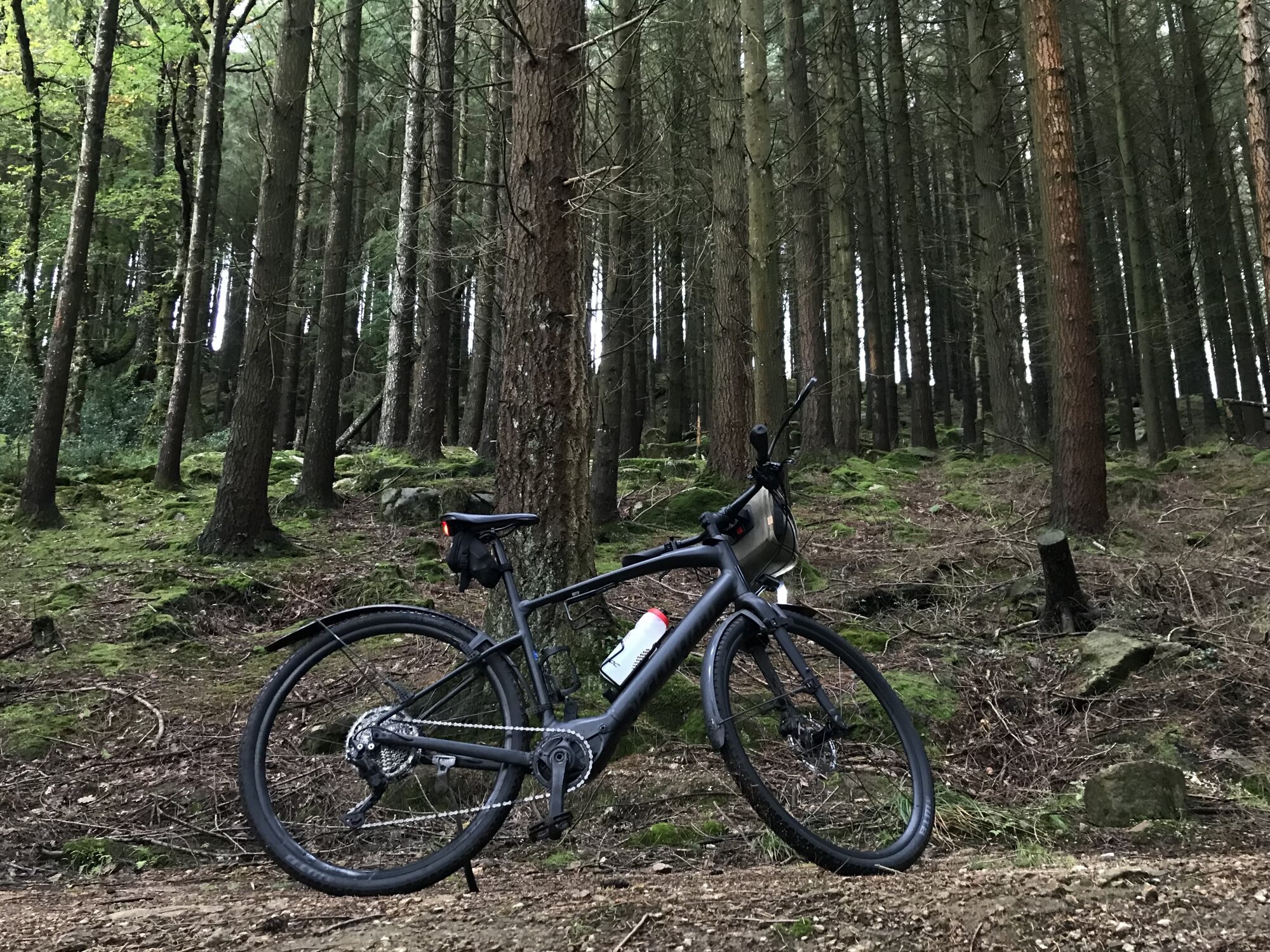 IMG_7577.jpeg IMG_7577.jpeg