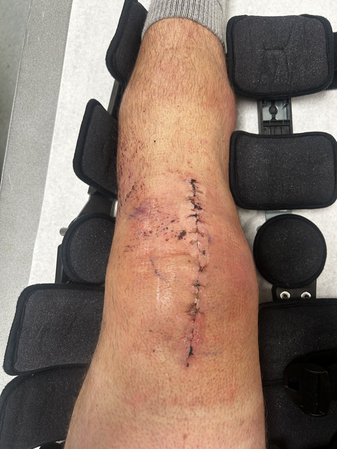 IMG_7875.jpeg IMG_7875.jpeg