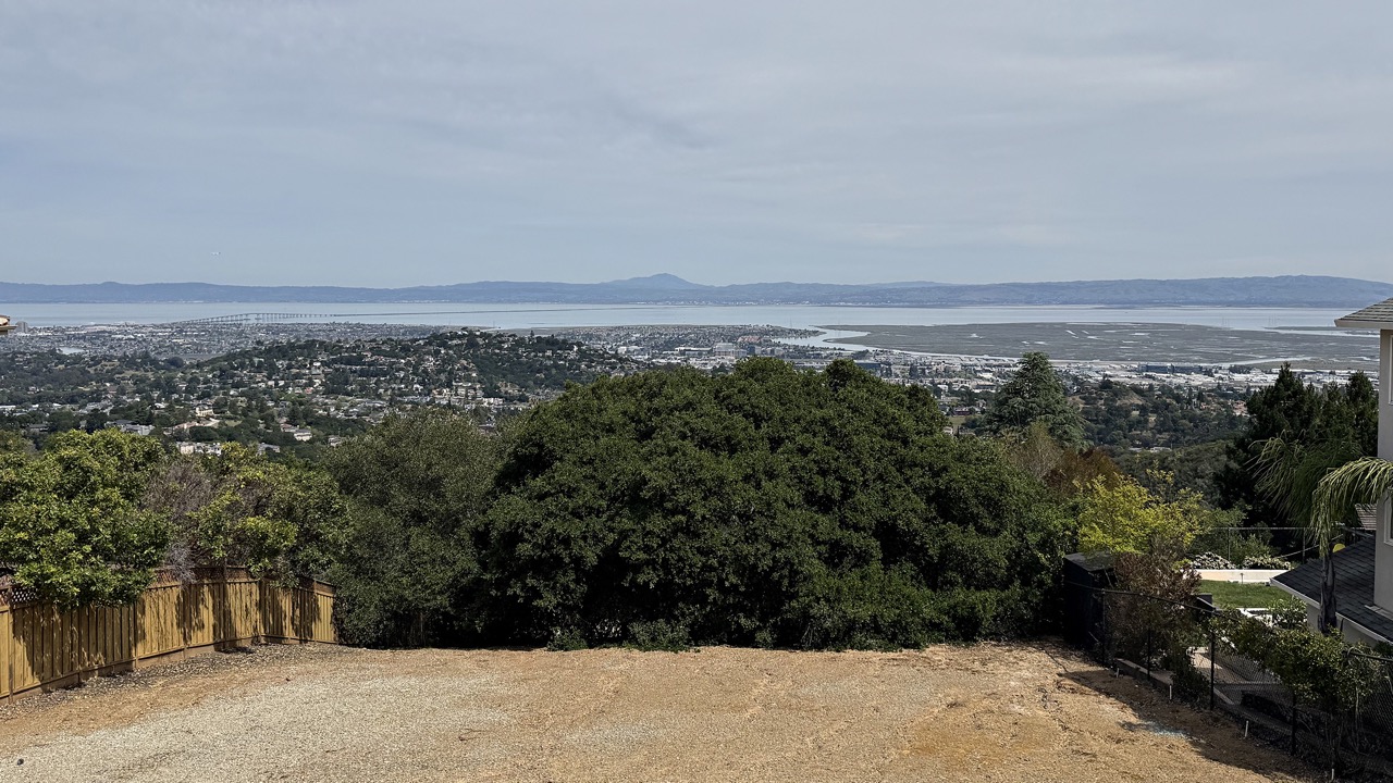 IMG_7967 copy Large.jpeg