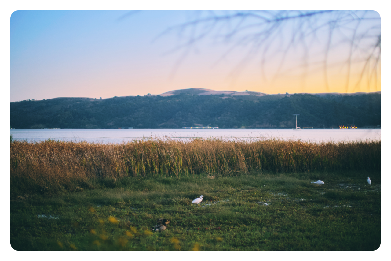 IMG_8106 Large.png