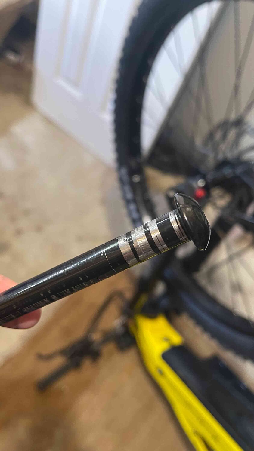 IMG_8546.jpg IMG_8546.jpg