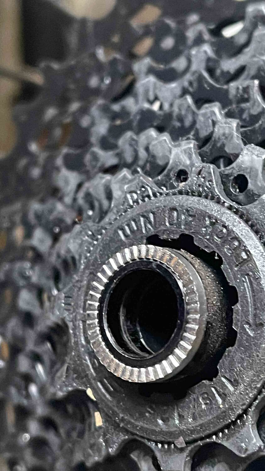 IMG_8547.jpg IMG_8547.jpg