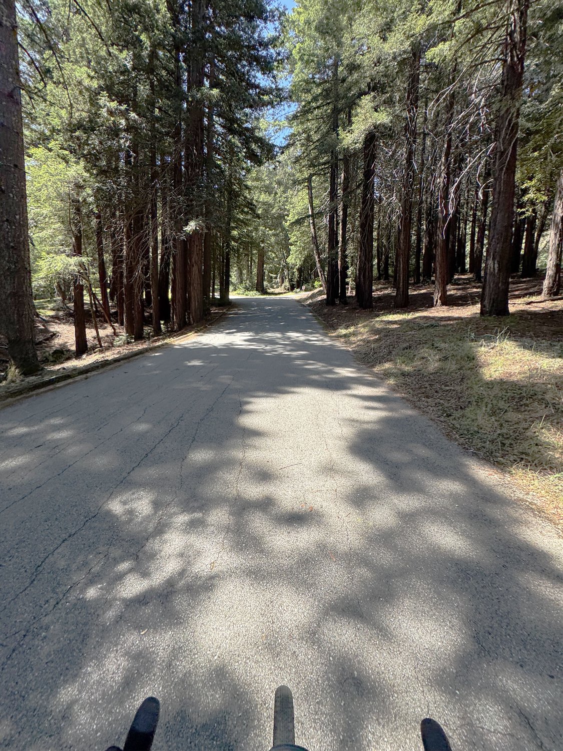 IMG_9161 copy2.jpg