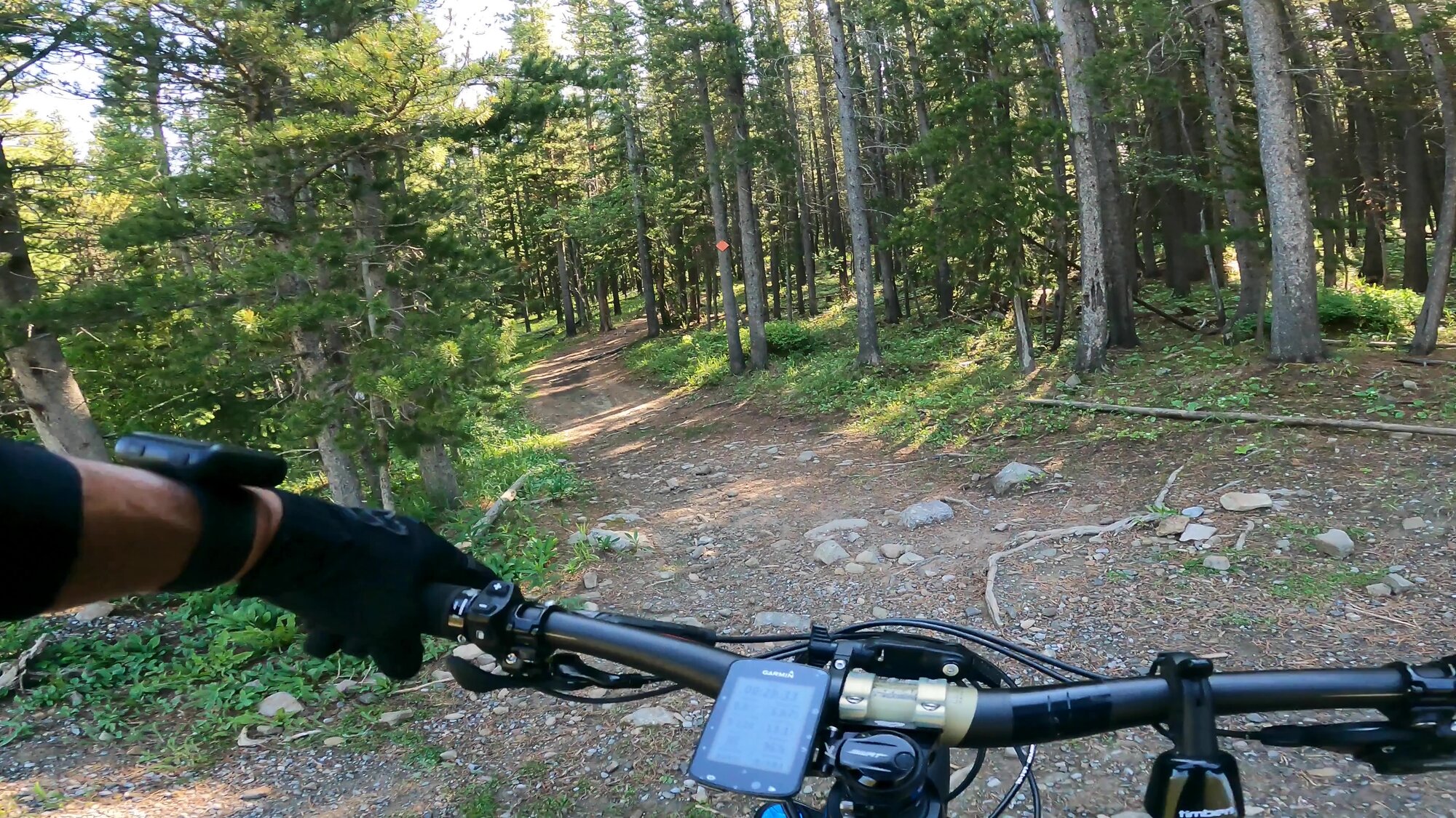 June 29, 2023 - Powderface Ridge Trail (Final Edit) - frame at 0m9s.jpg