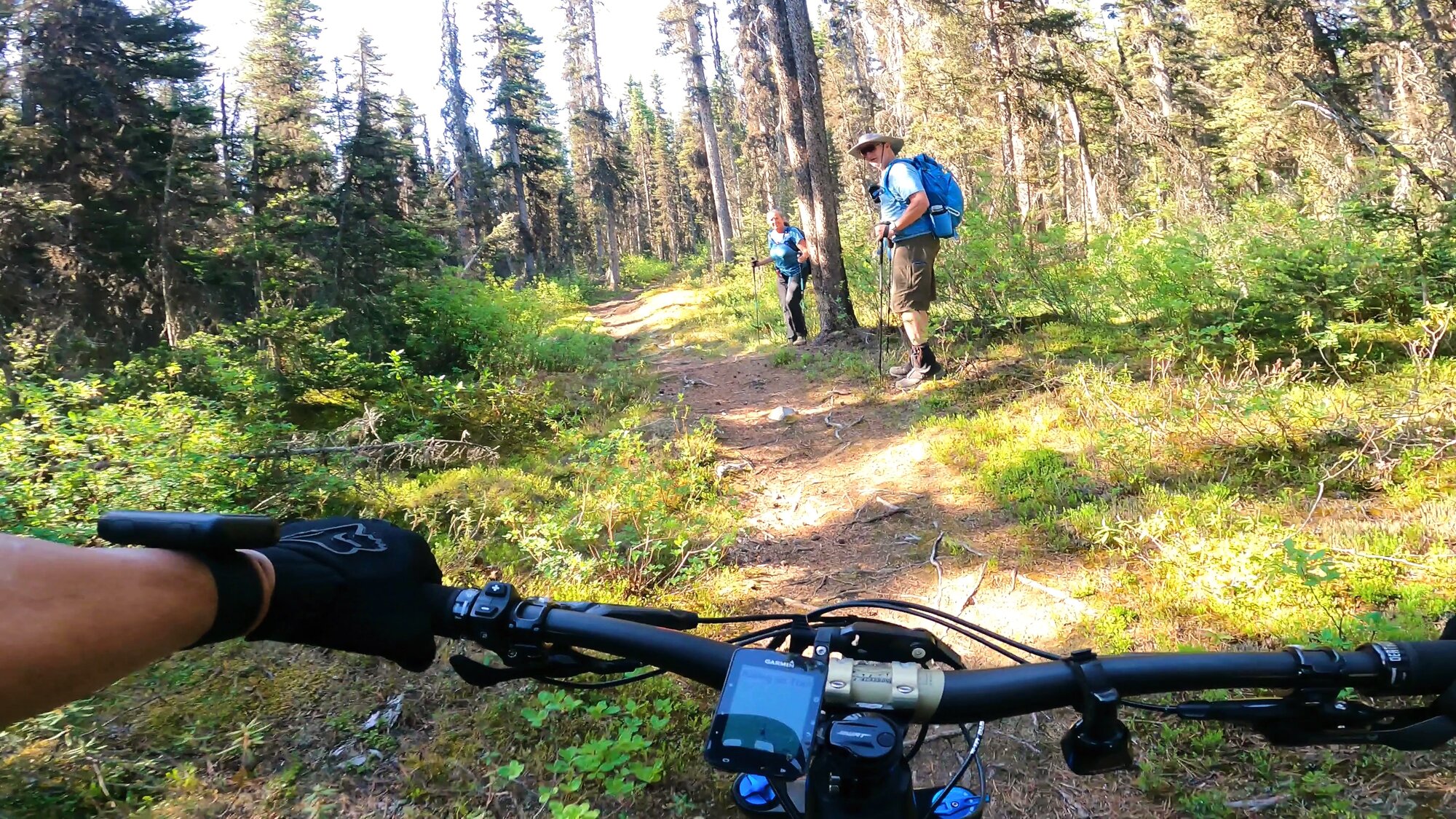 June 8, 2023 - Highline Trail - frame at 0m54s.jpg