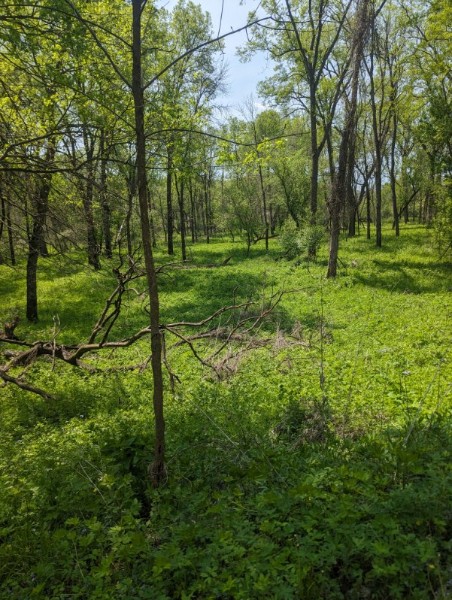 Lanesboro To Rushford 3.jpg