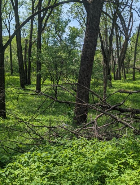 Lanesboro To Rushford 4.jpg