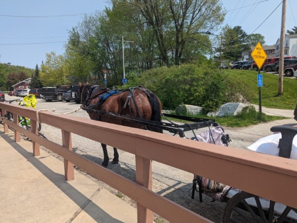 Lanesboro To Rushford 5.jpg