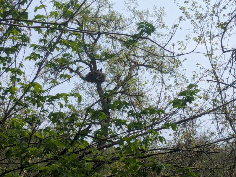 Lanesboro To Rushford 6.jpg