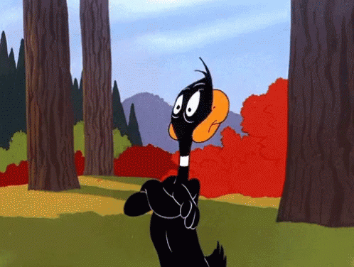 looney-toons-daffy-duck-1945539666.gif