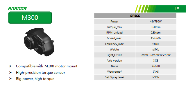 M300.png