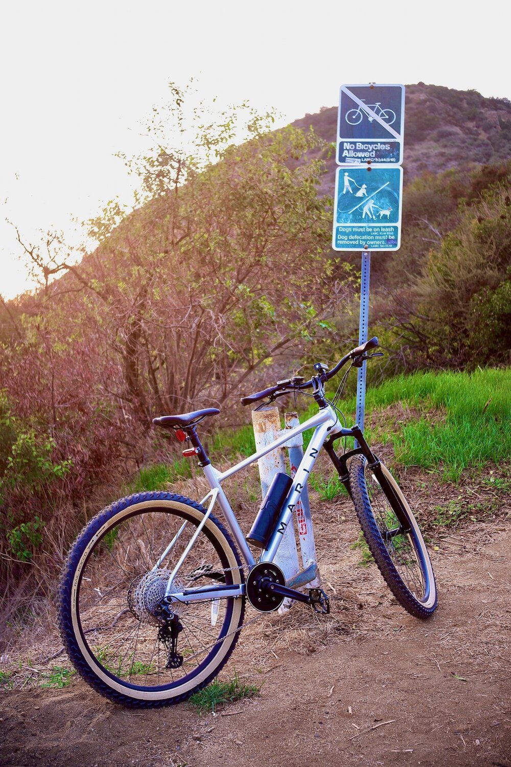 Marin Right Rear Angle - small.jpeg