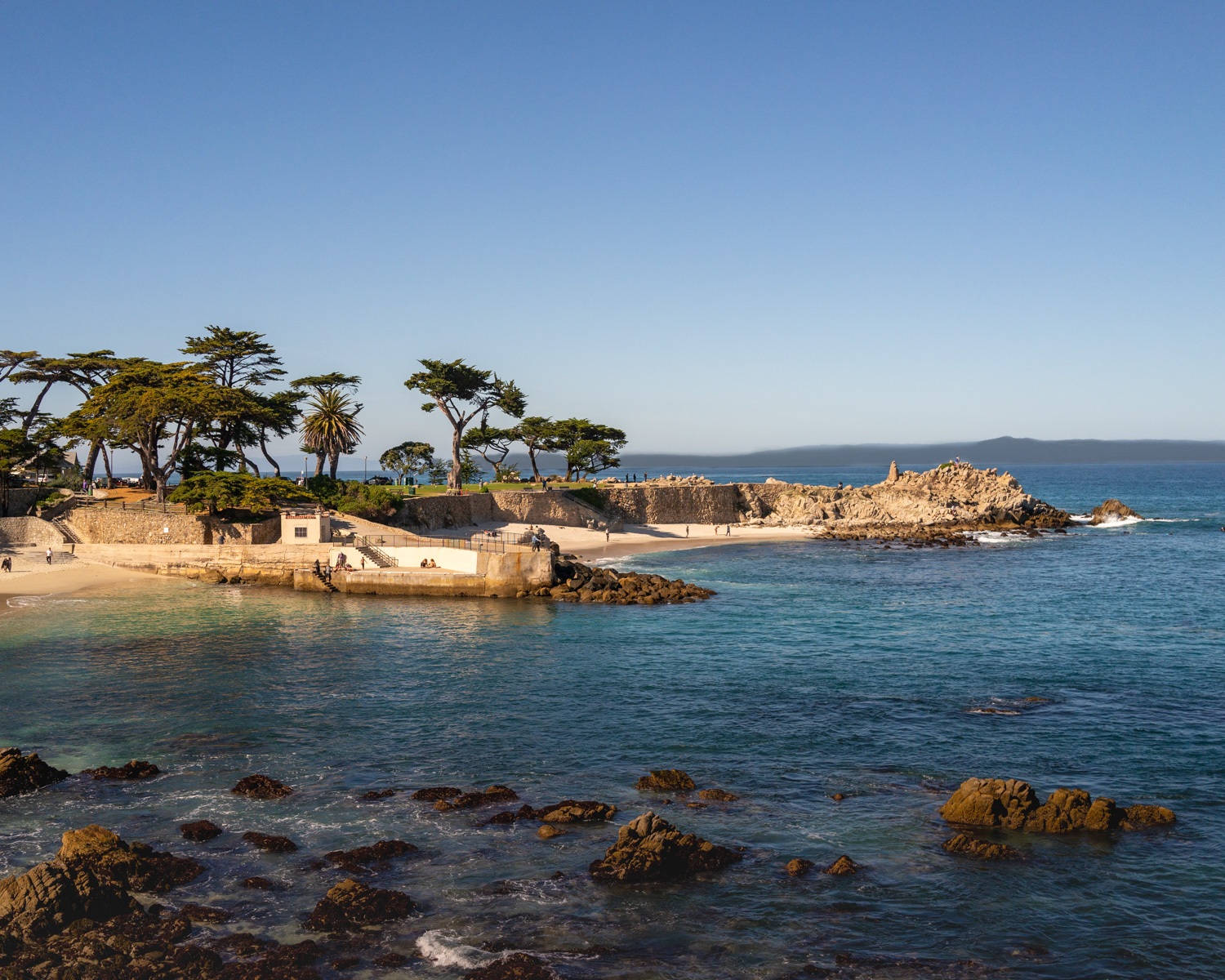 monterey2020-52.jpg