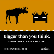 moose.png