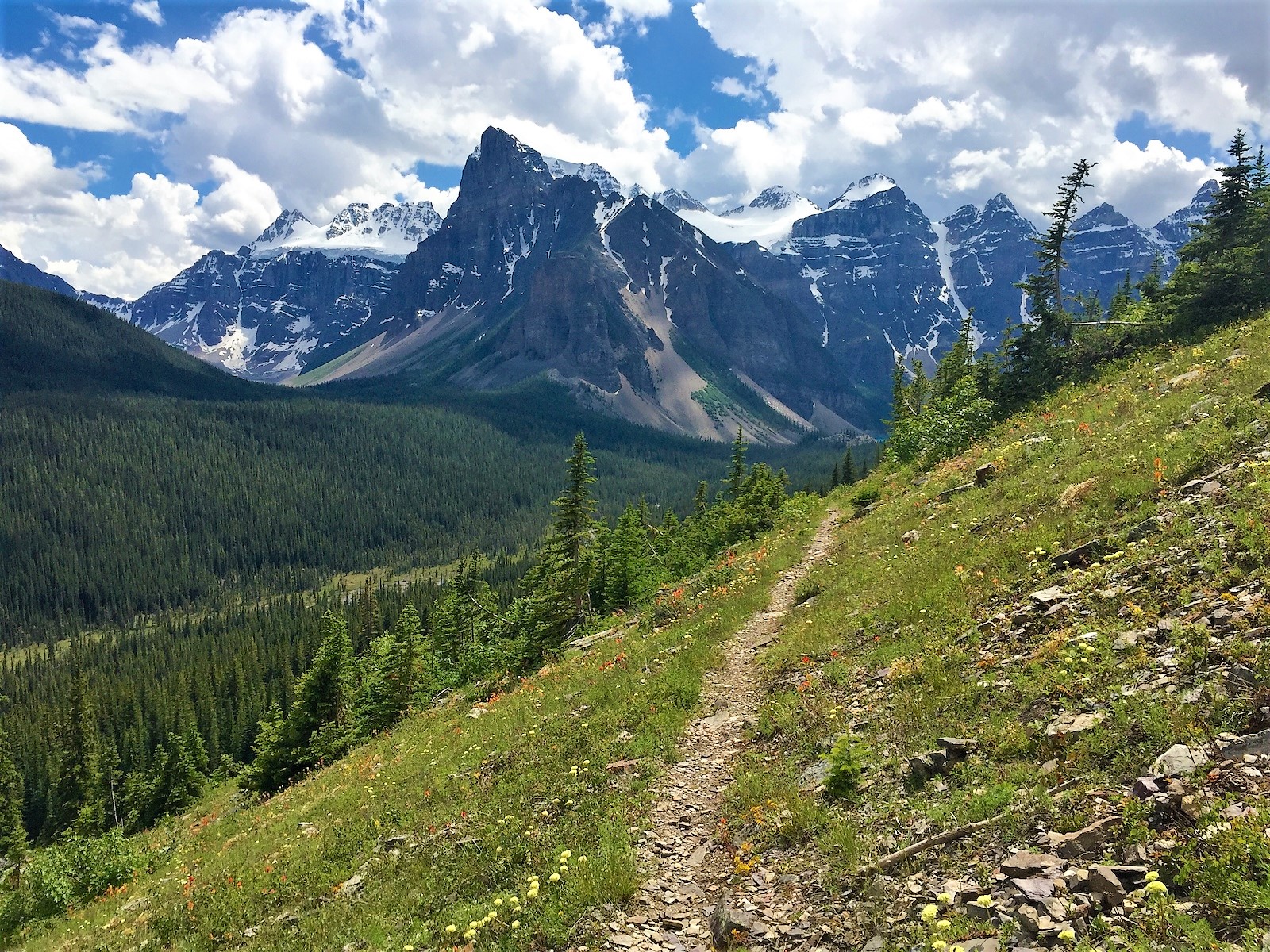 Morraine Highline Trail (BNP).jpg