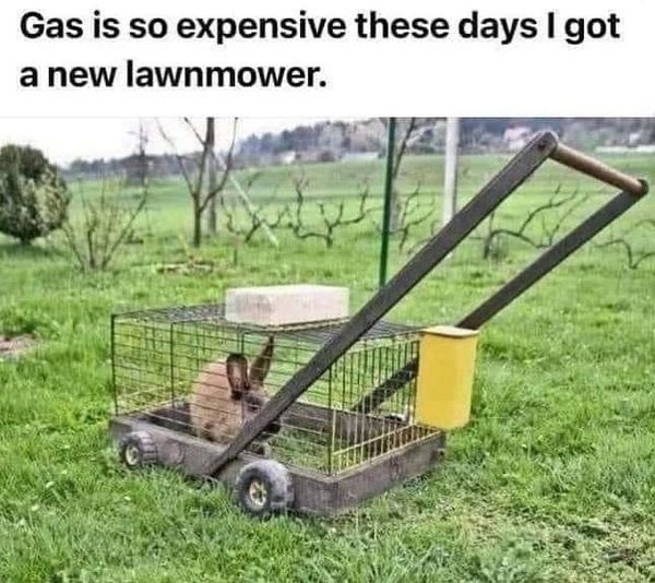 new-mower.jpg