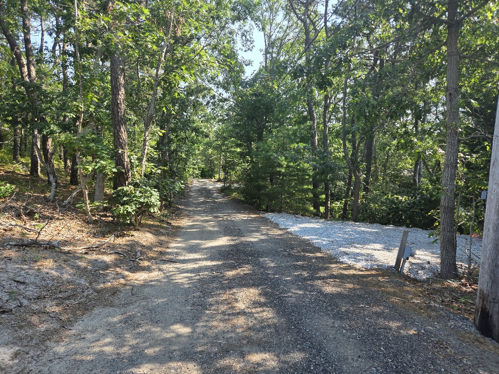 newcomb3.jpg