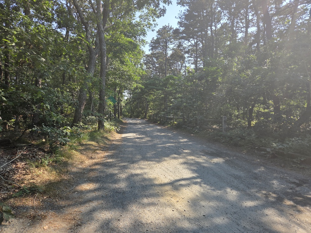 newcomb4.jpg
