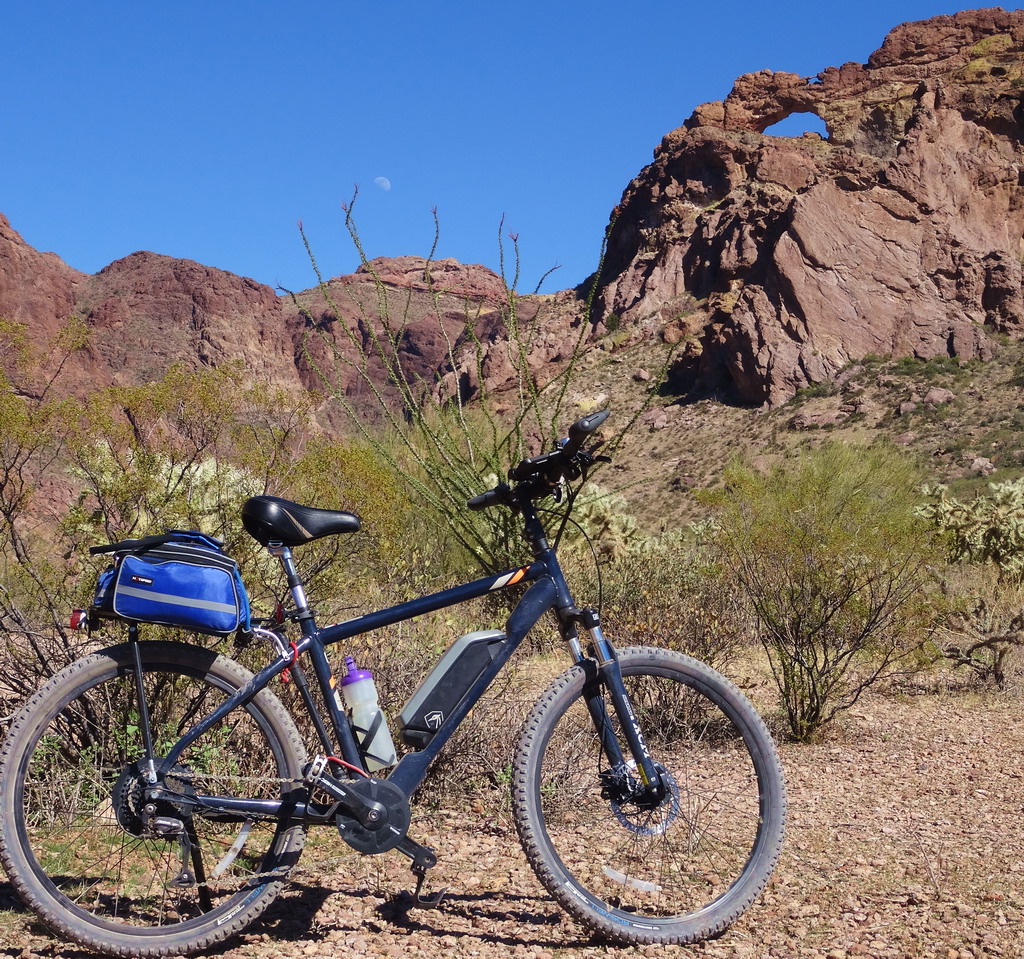 Organ Pipe Cactus Monument 14.jpg