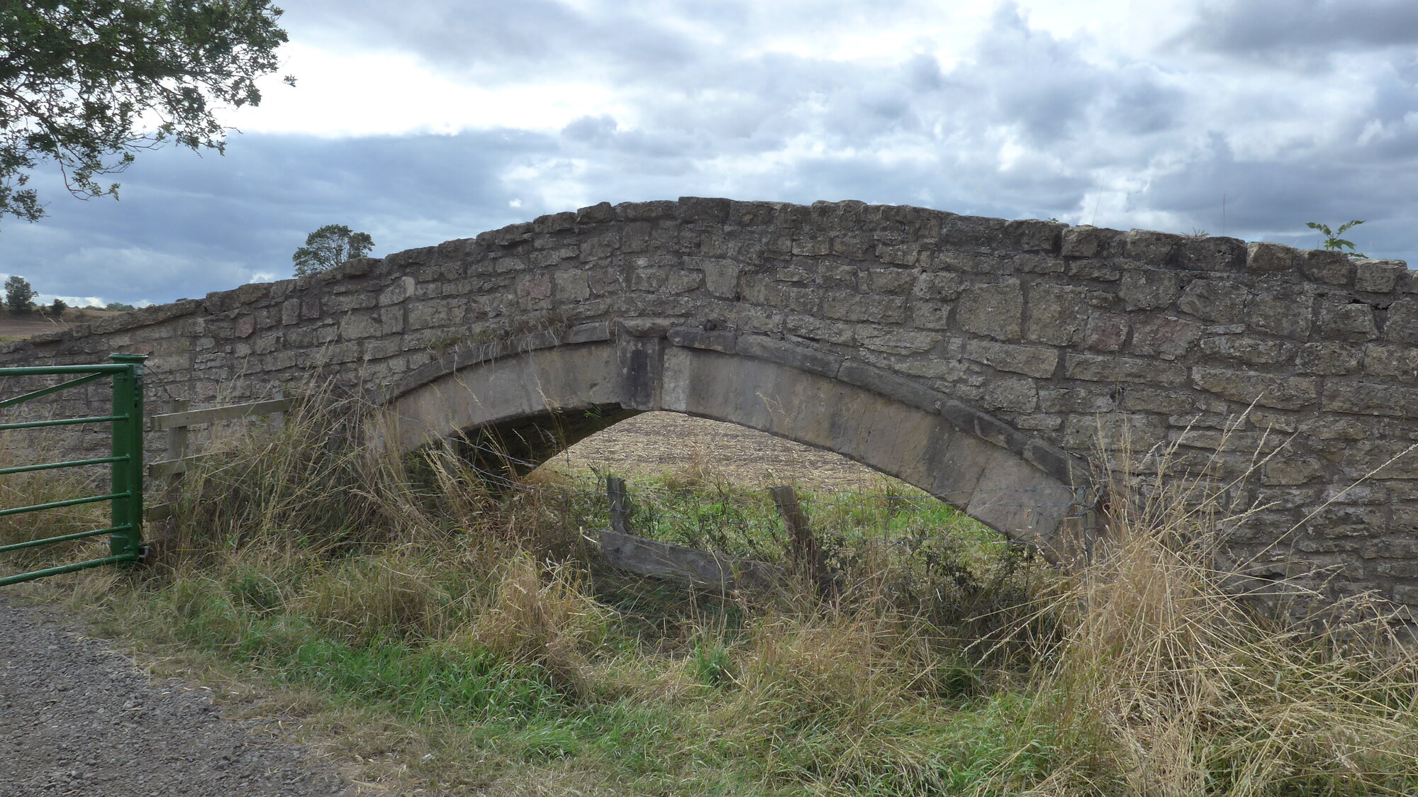 P1000682.JPG