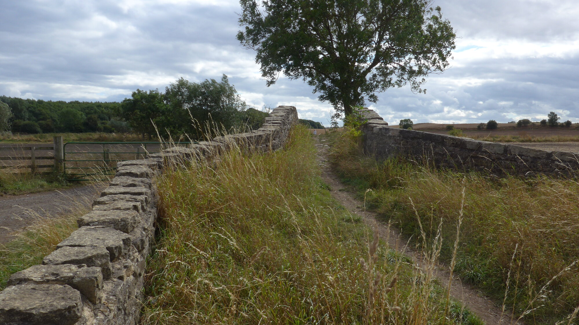 P1000683.JPG
