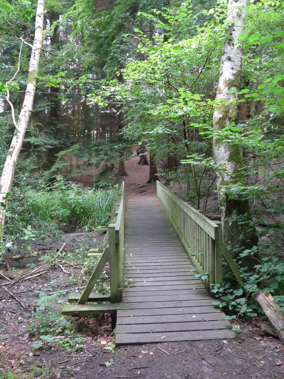 P1000730.JPG