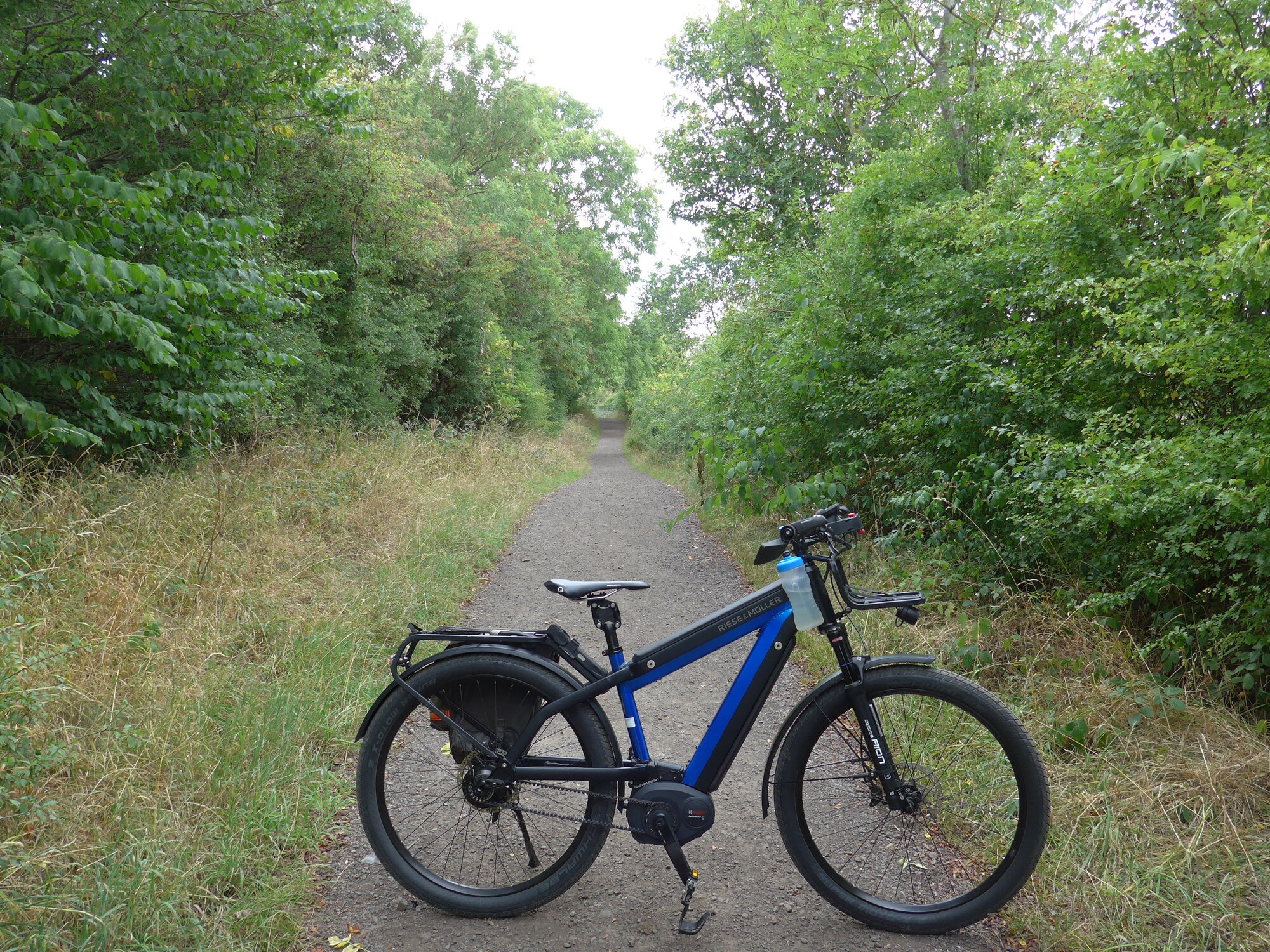 P1000754.JPG