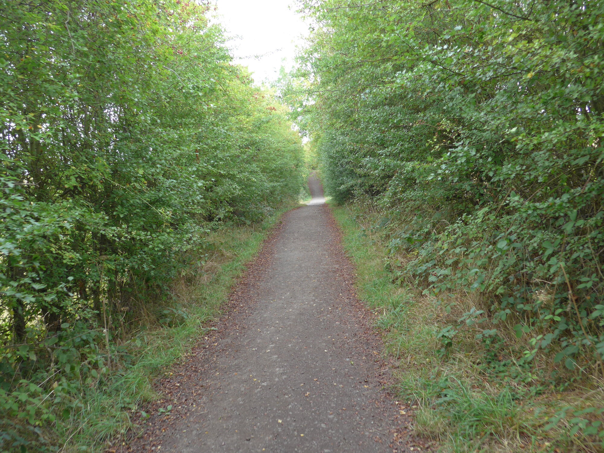 P1000756.JPG
