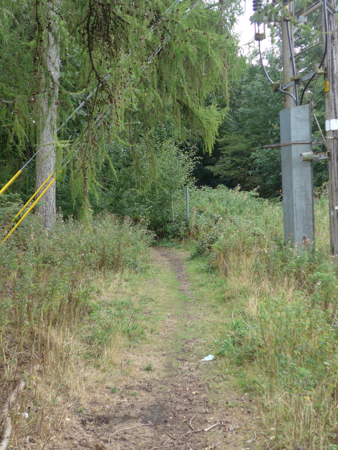 P1000763.JPG