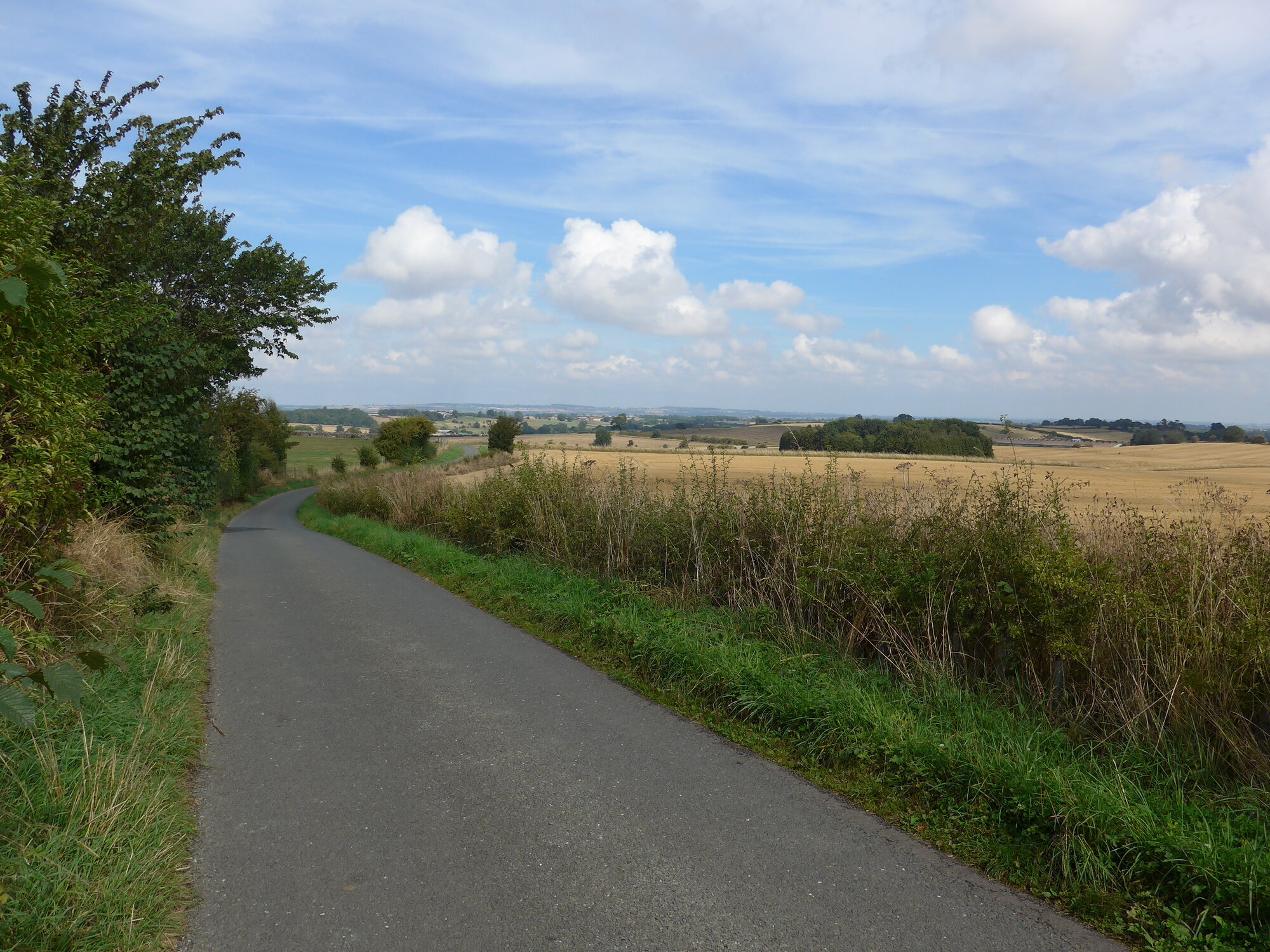 P1000765.JPG