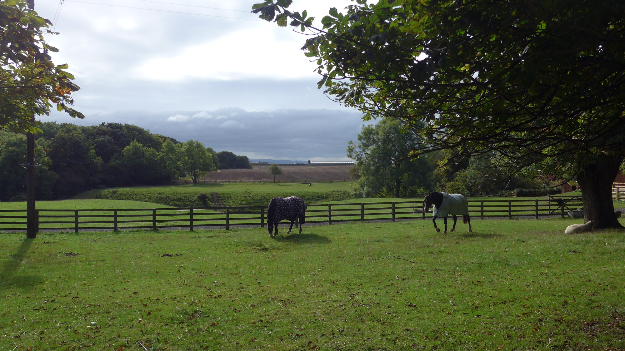 P1000816.JPG