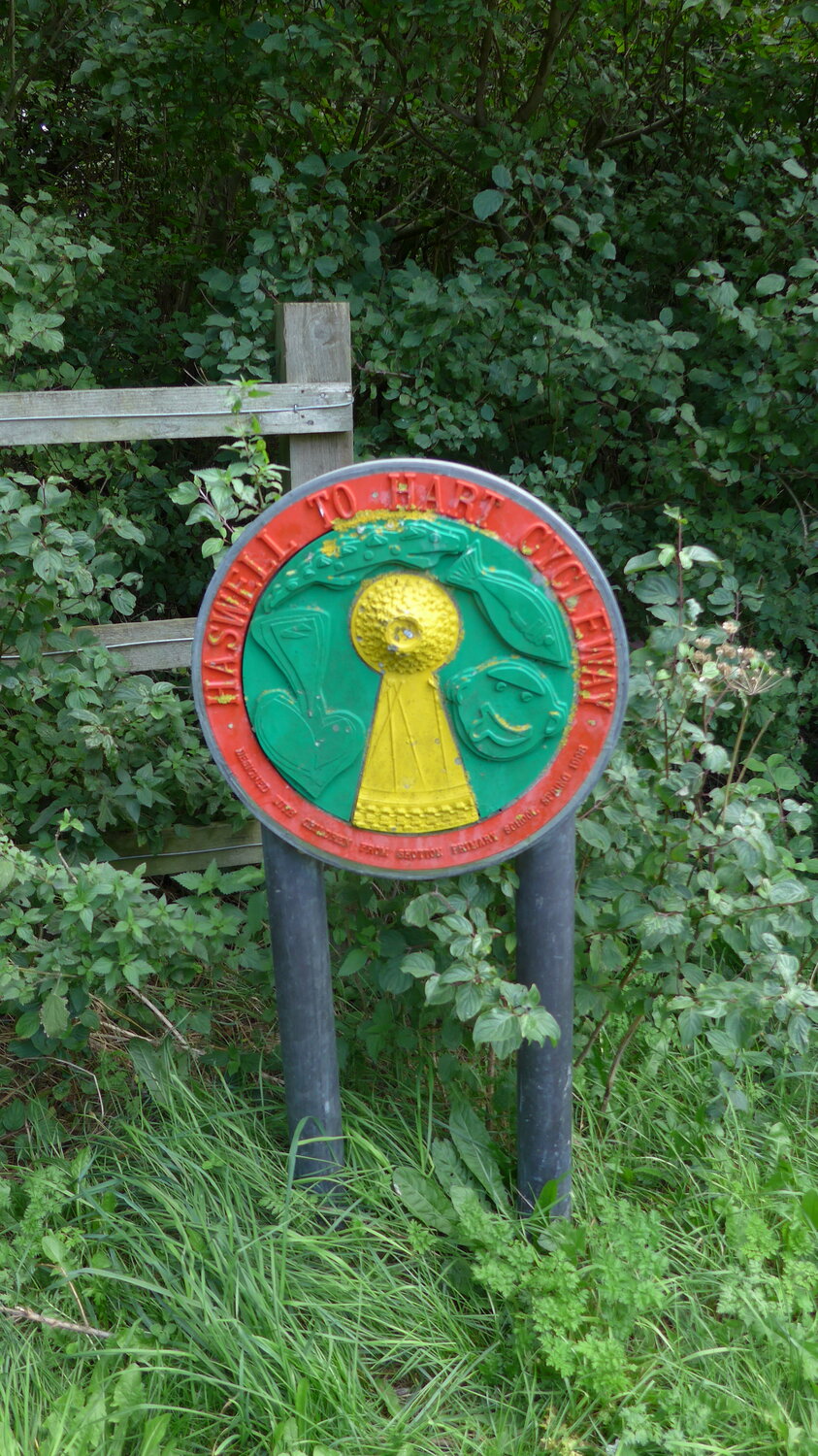 P1000819.JPG