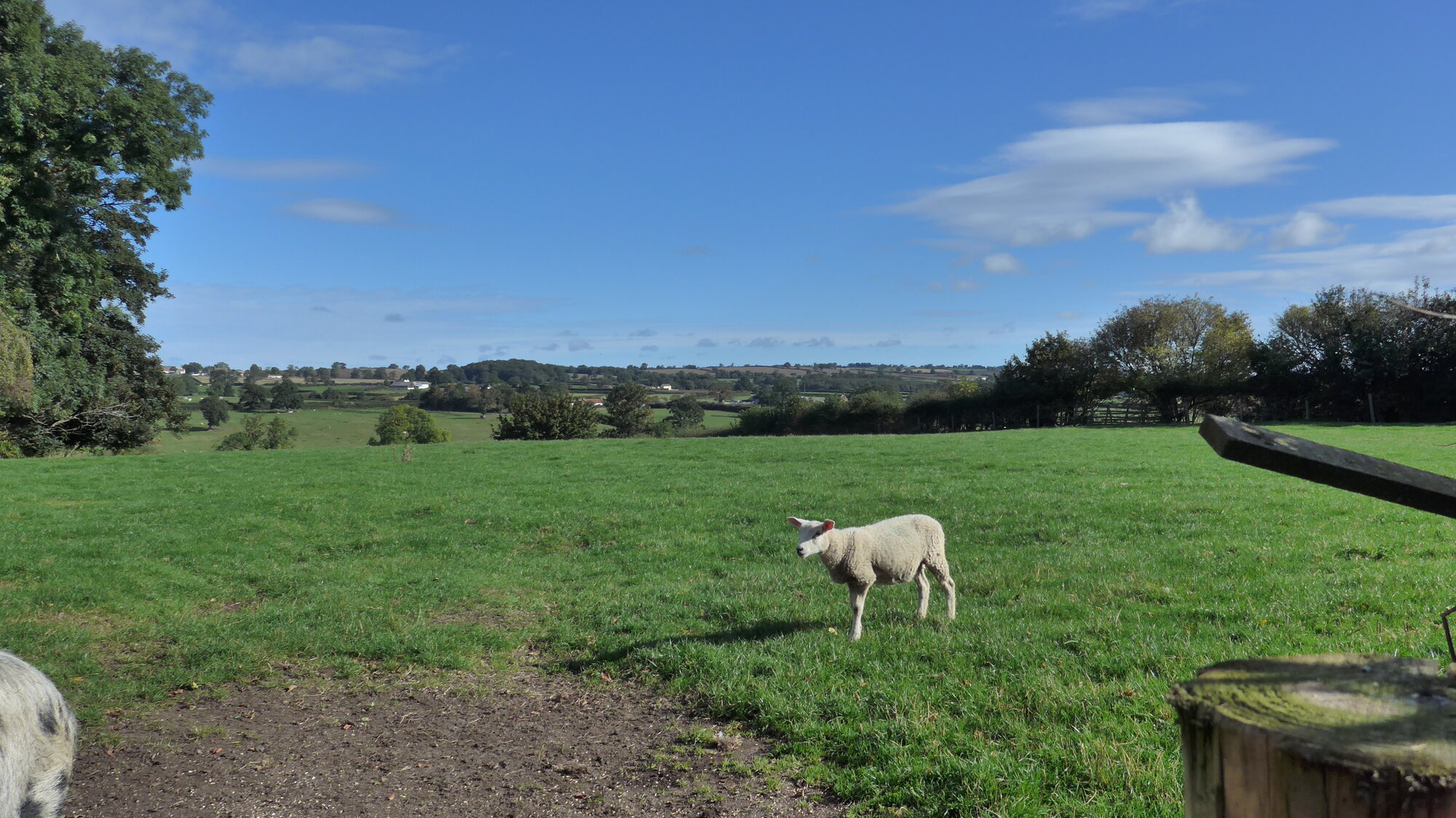 P1000835.JPG