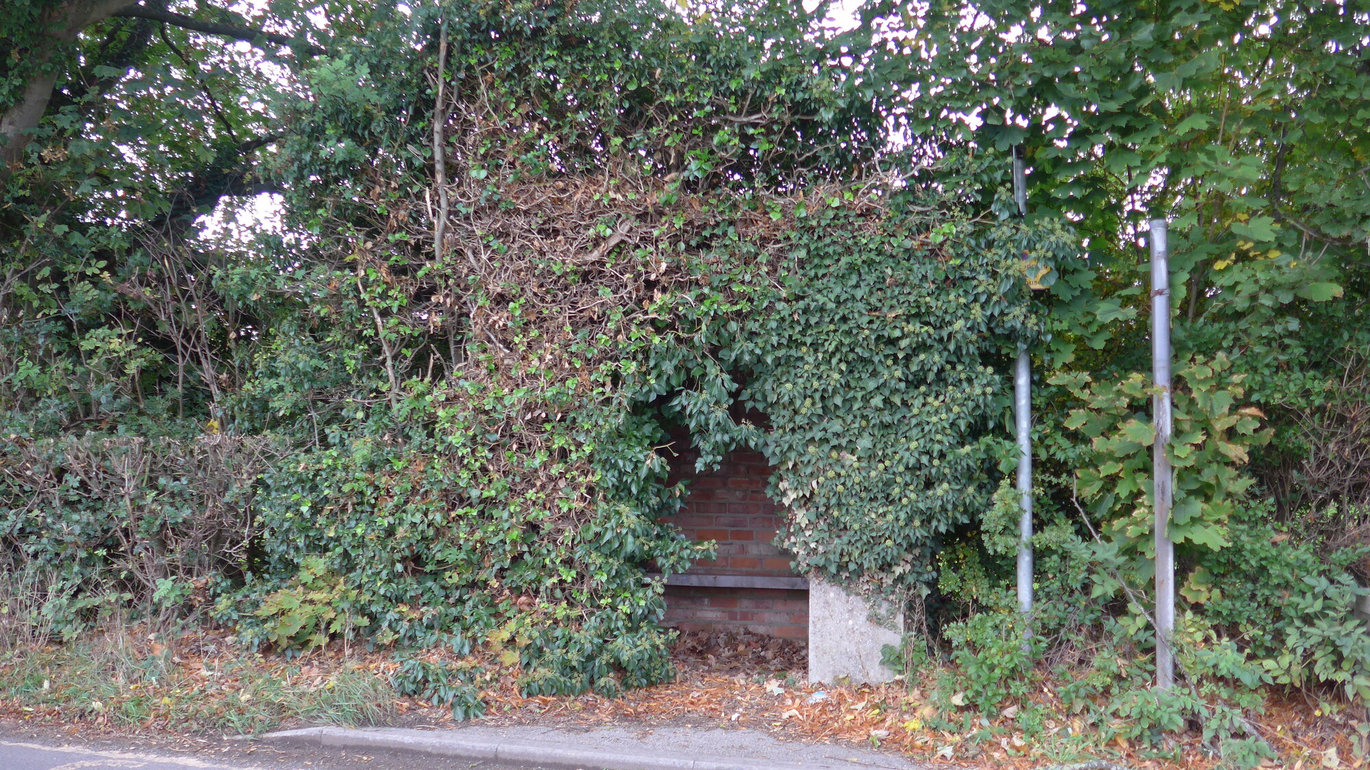 P1000885.JPG