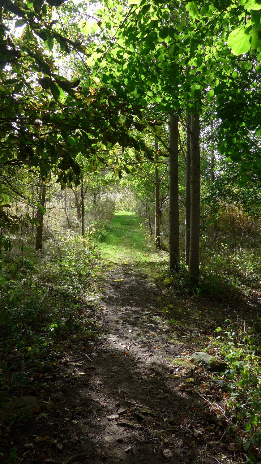 P1000896.JPG