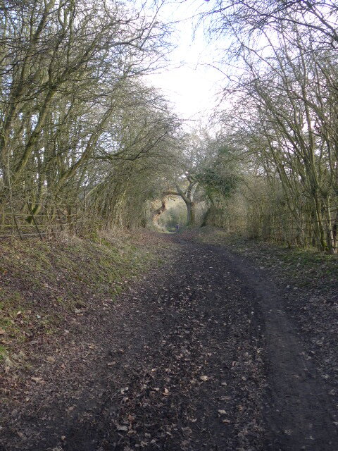 P1010078.JPG